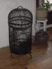 Wrought Iron Cage  75.00
